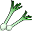 spring_onion.png